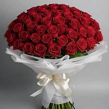 Букет 101 Красная роза Блэк Мэджик #REPLACE_PRED# Нововоронино