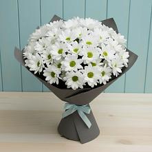 Букет цветов из:  Хризантемы в Нововоронино