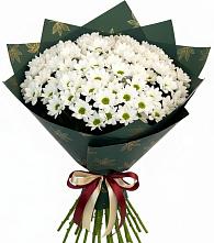 Букет цветов из:  Хризантемы в Нововоронино