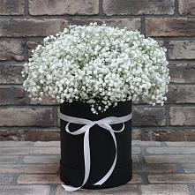 Цветочная композиция из Гипсофила в шляпной коробке в Нововоронино