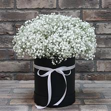 Цветочная композиция из Гипсофила в шляпной коробке в Нововоронино