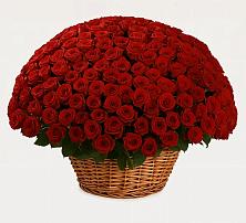 Премиум букет из: Розы #REPLACE_PRED# Нововоронино